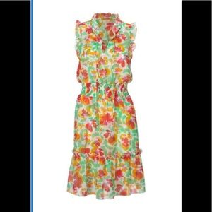 CAbi Floral Multicolor Dress